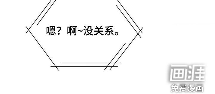 第13章：完美的计划