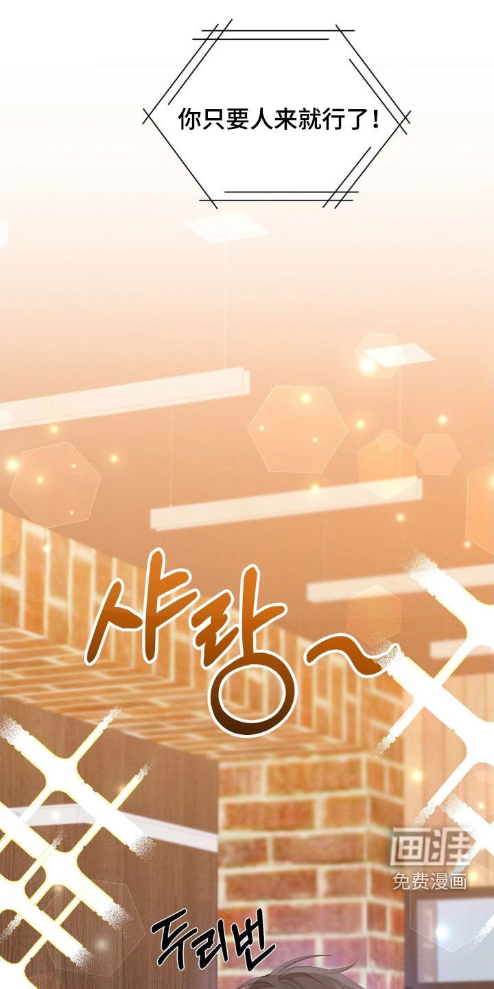 第13章：完美的计划
