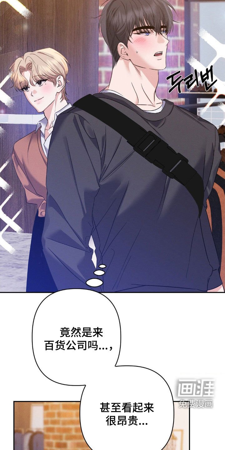 第13章：完美的计划