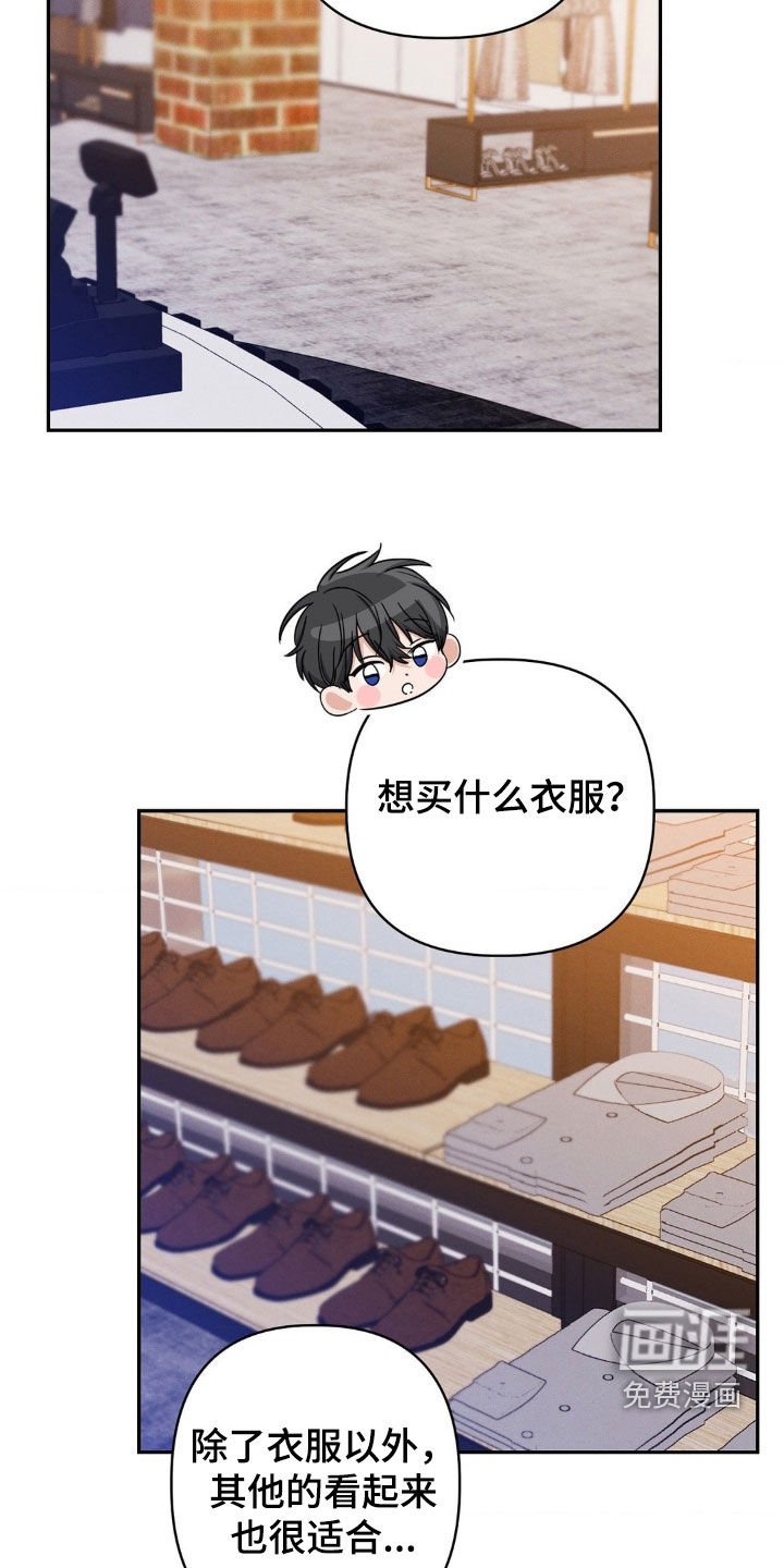 第13章：完美的计划
