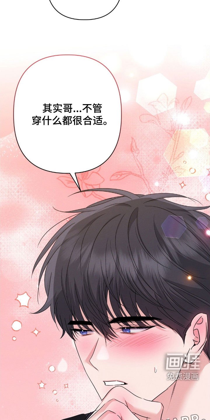 第13章：完美的计划