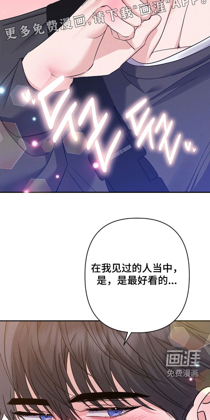 第13章：完美的计划