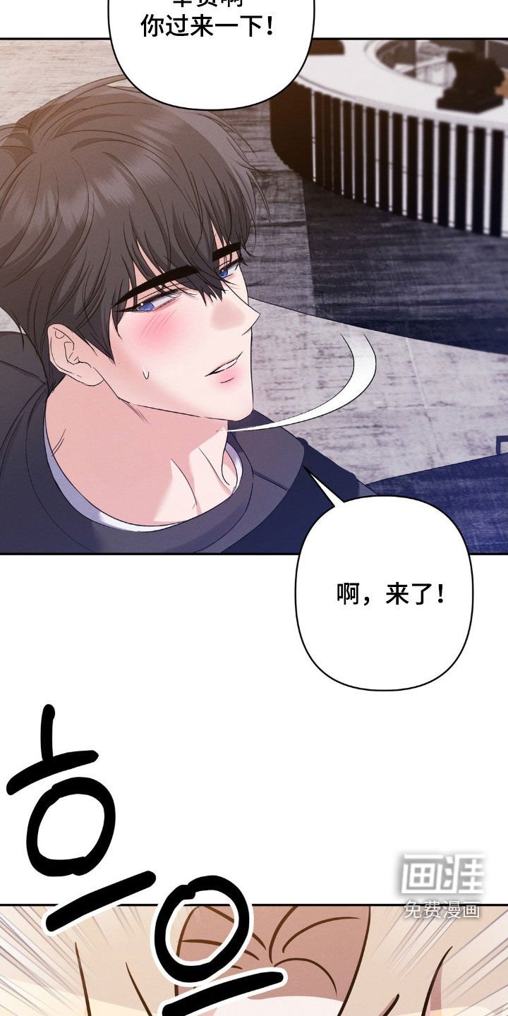 第13章：完美的计划