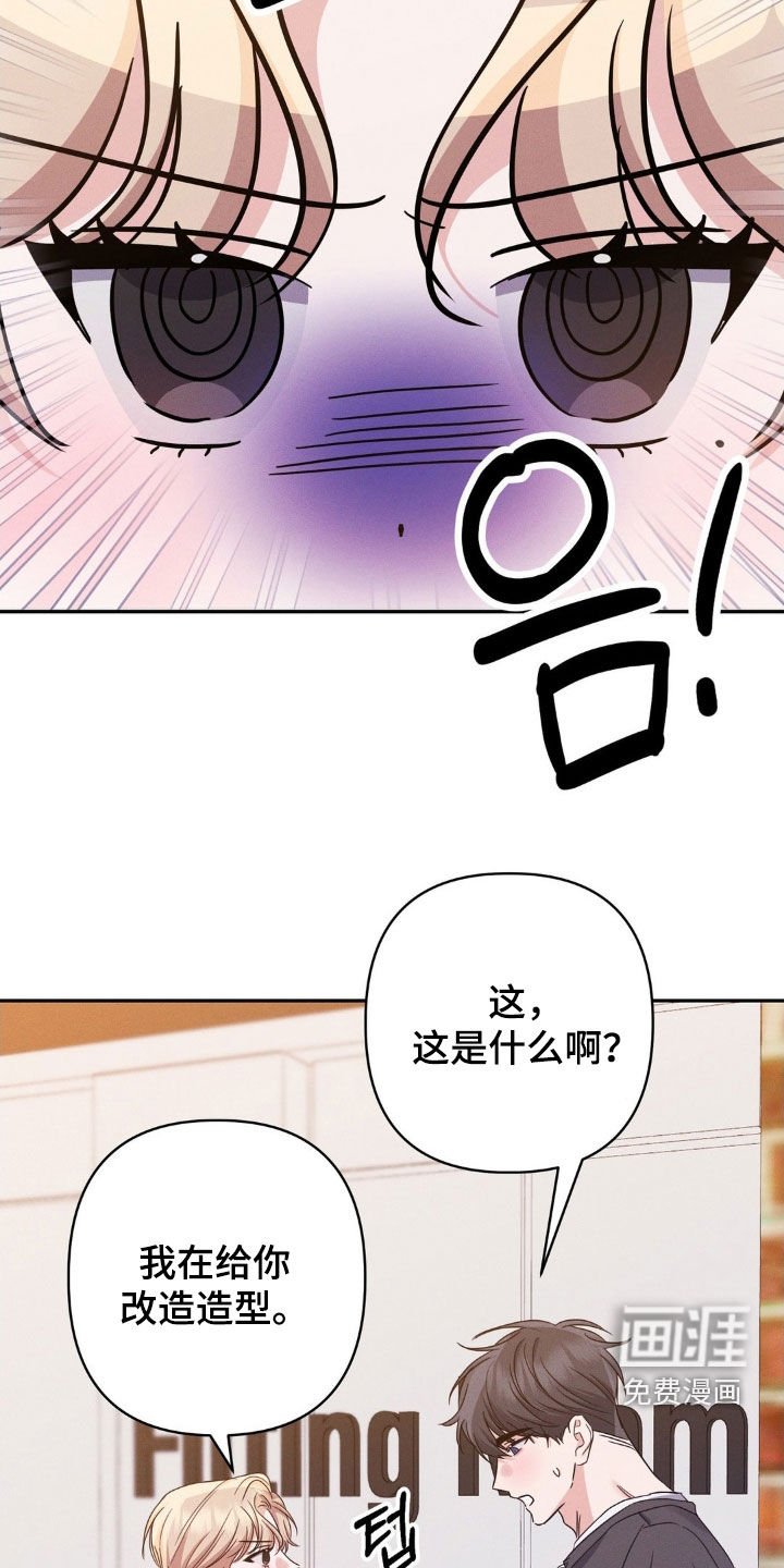 第13章：完美的计划
