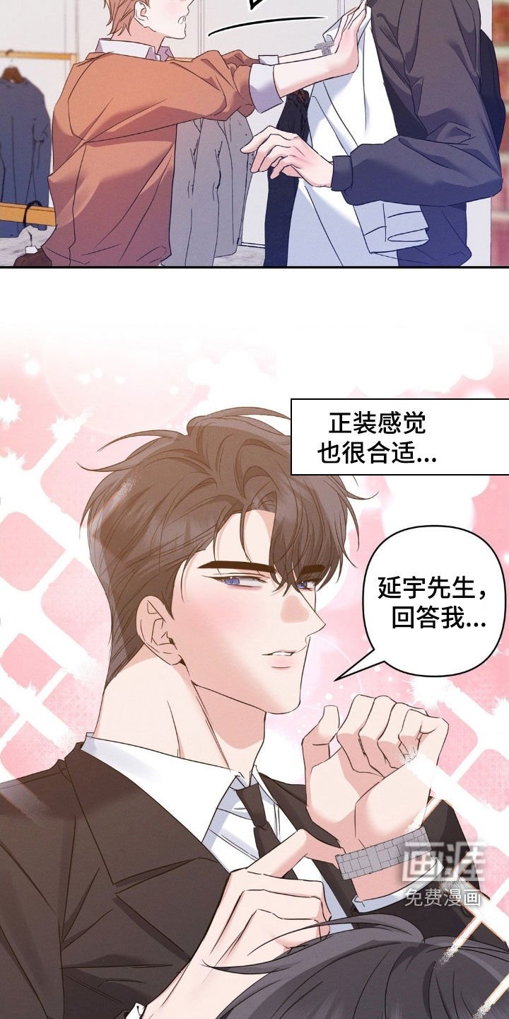 第13章：完美的计划