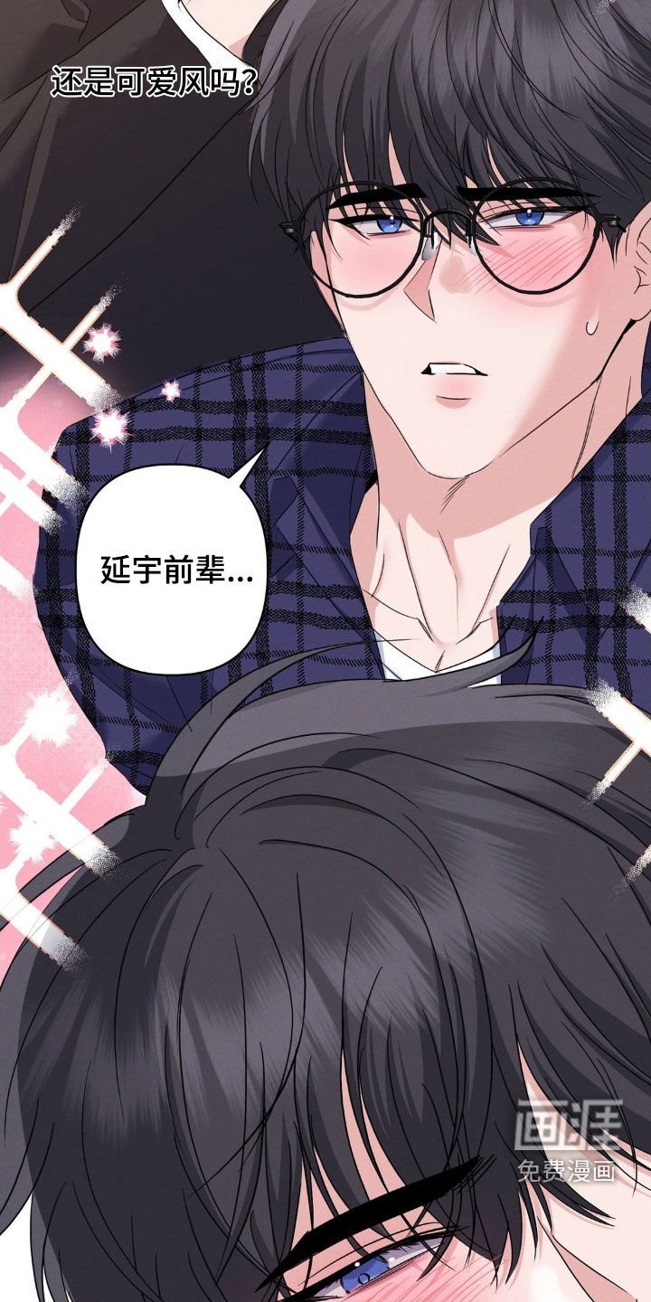 第13章：完美的计划