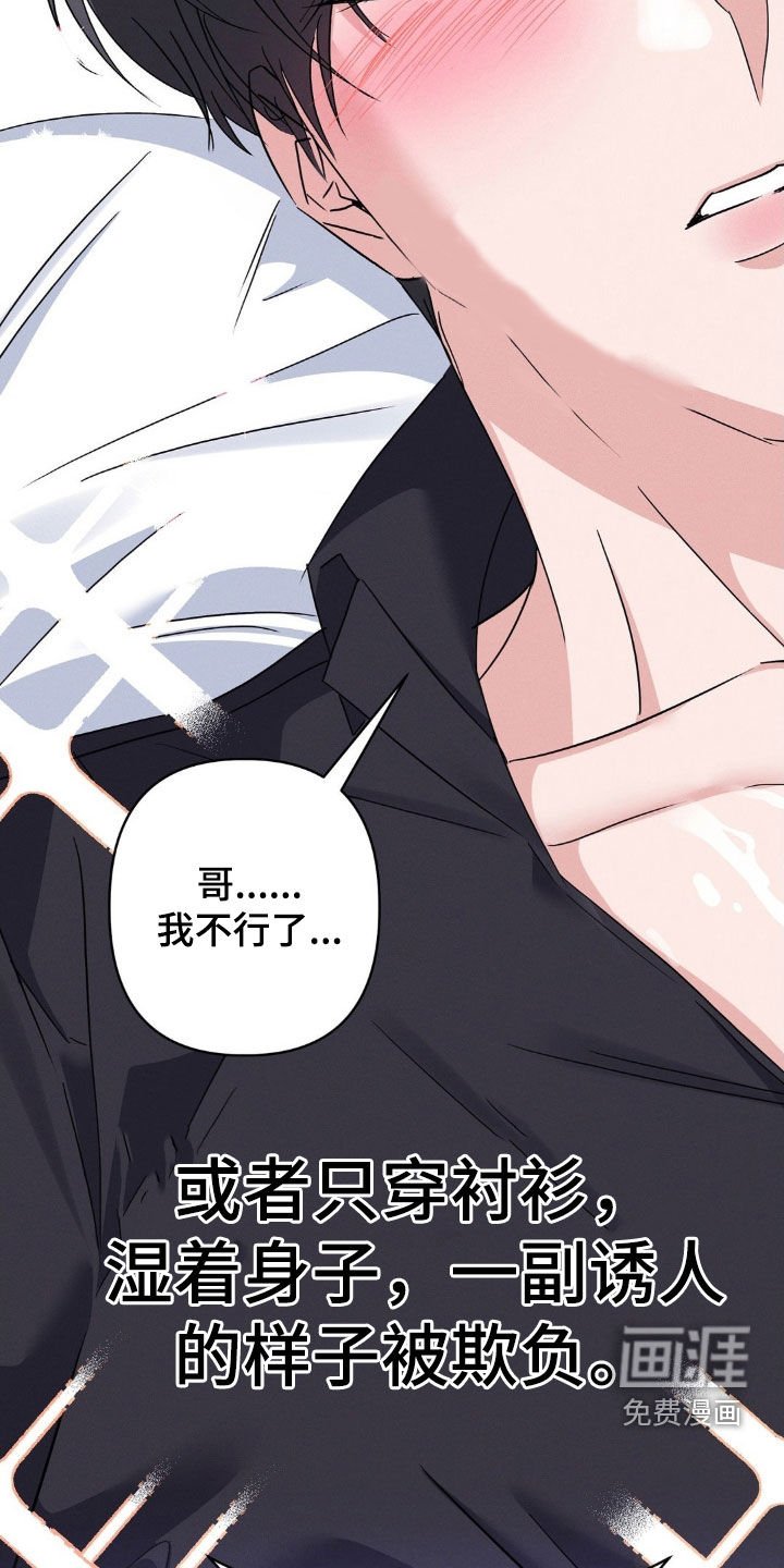 第13章：完美的计划
