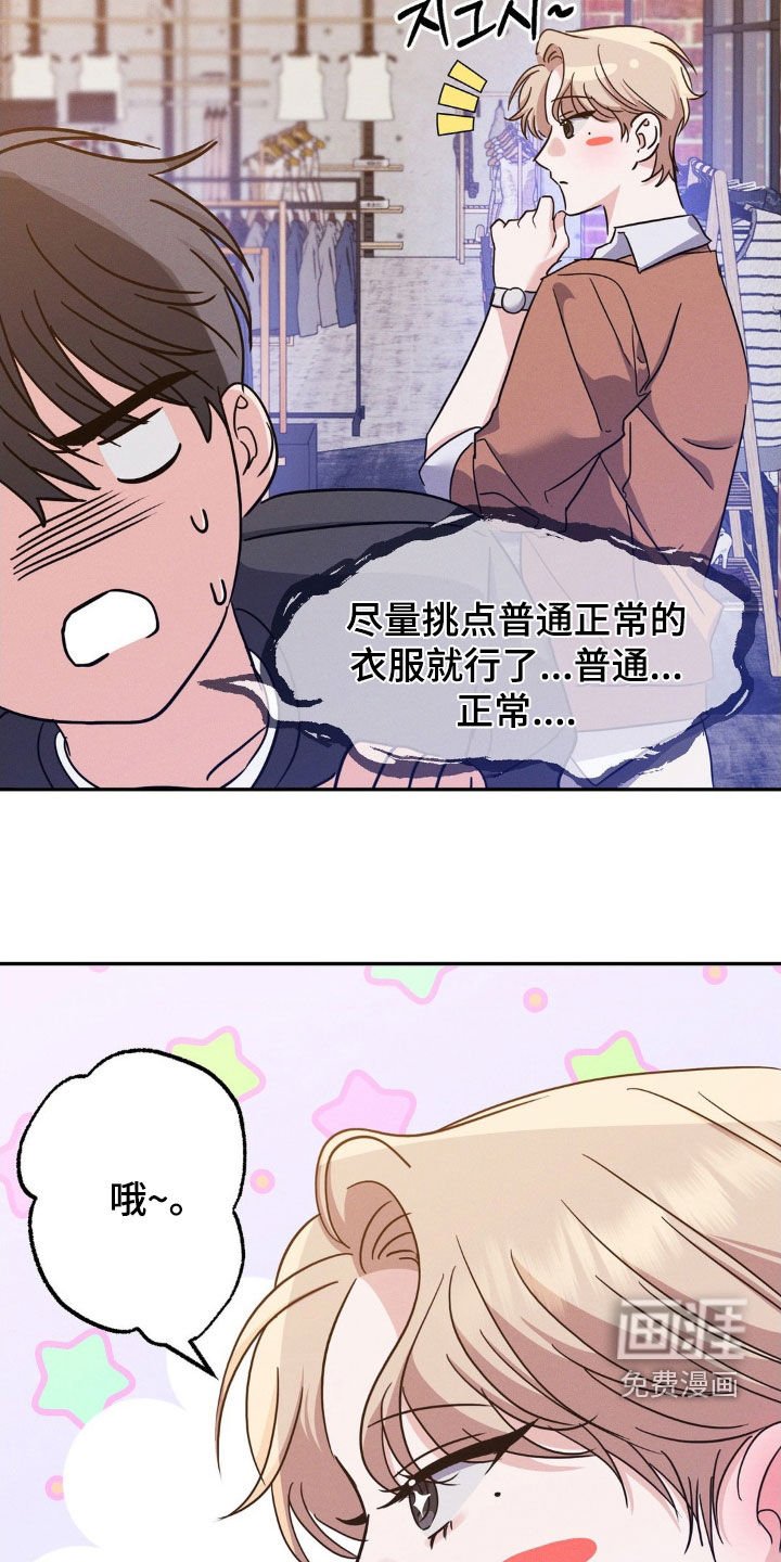 第13章：完美的计划