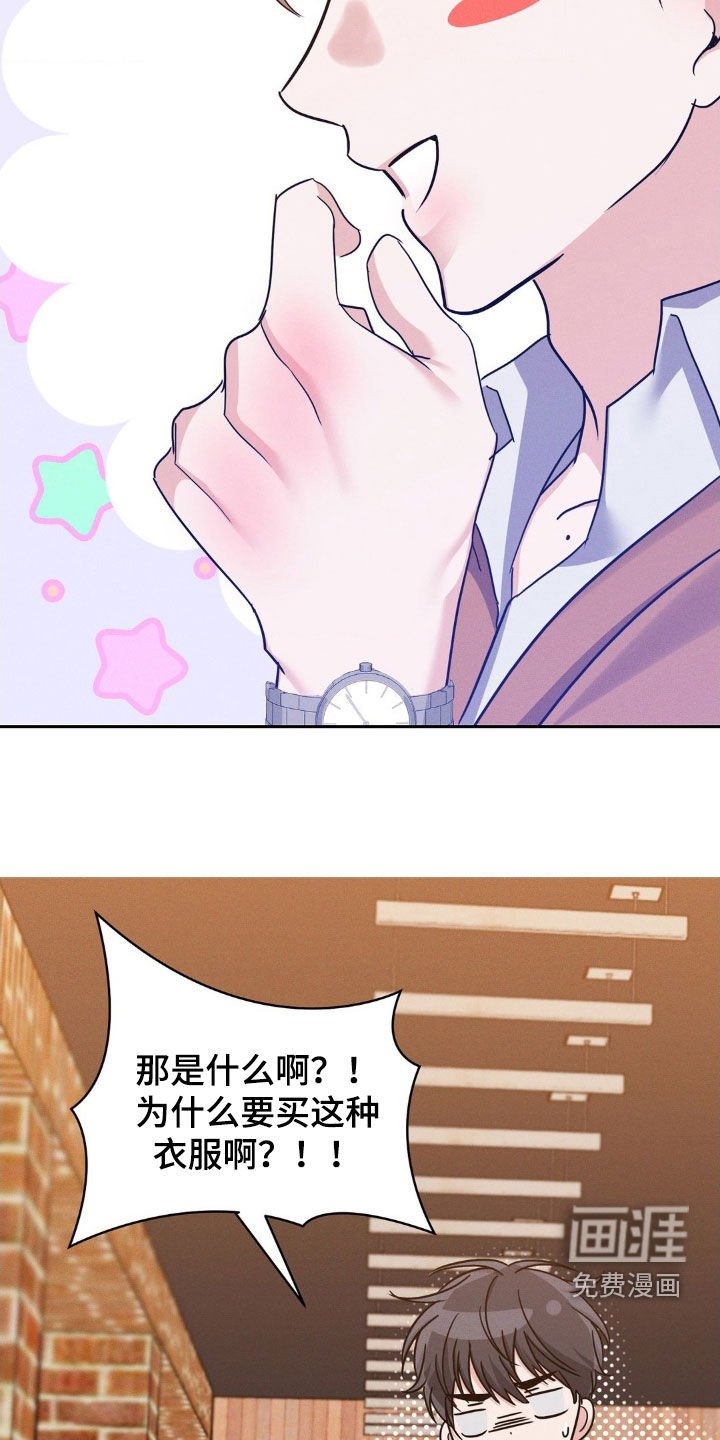 第13章：完美的计划