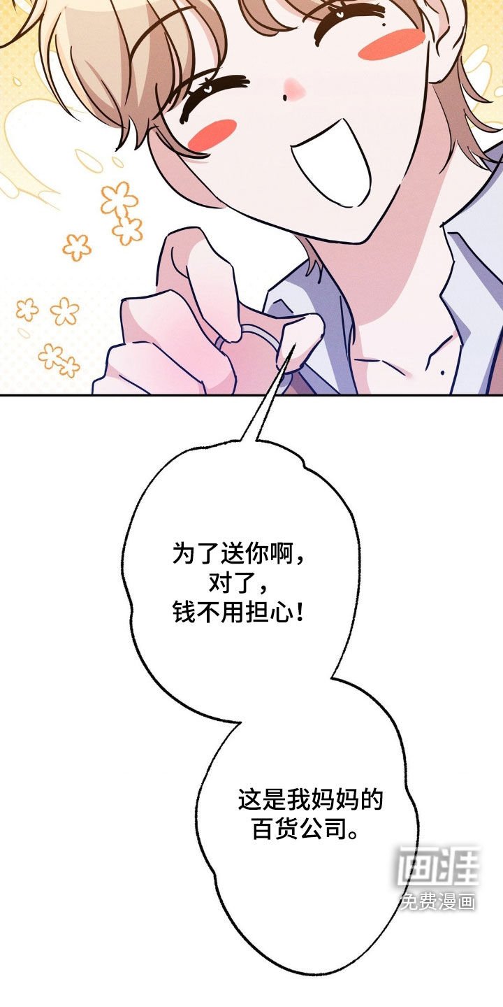 第13章：完美的计划