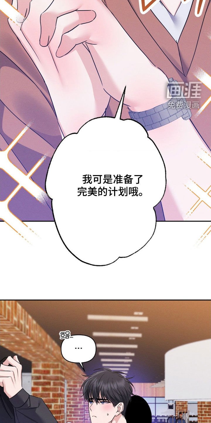 第13章：完美的计划