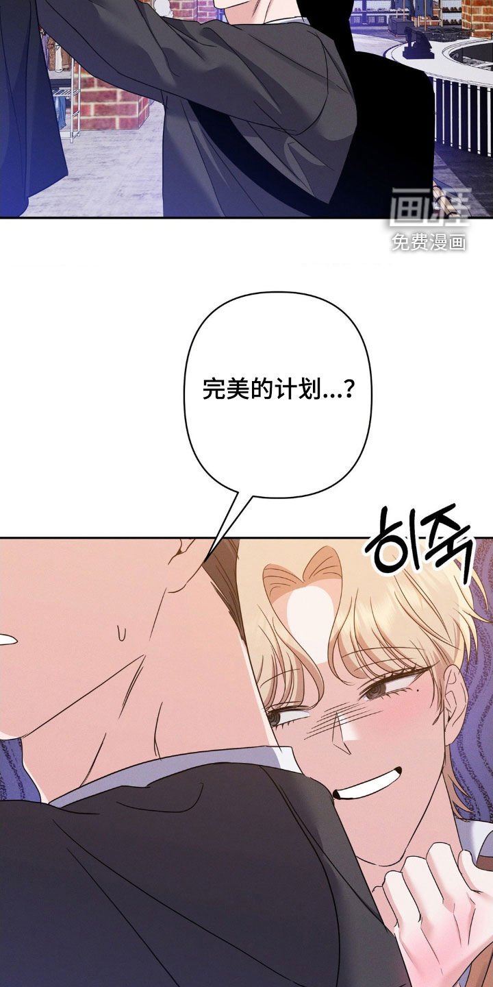 第13章：完美的计划