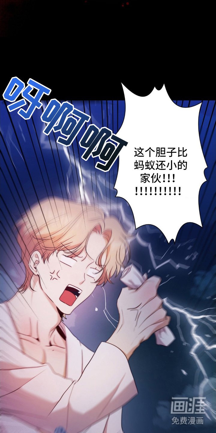 第2章：奇怪偏好