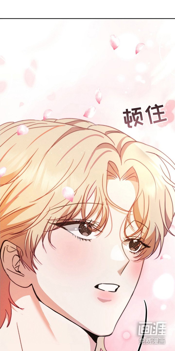 第2章：奇怪偏好