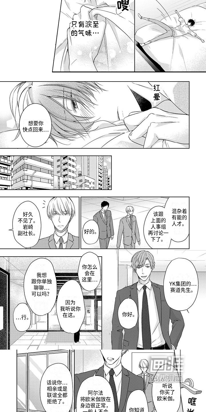 第11章：宣告
