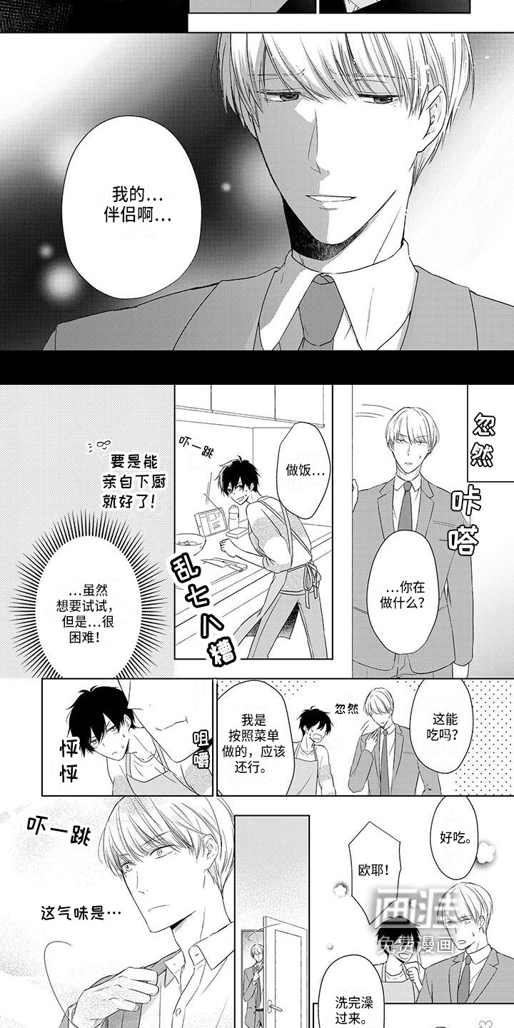 第12章：项圈