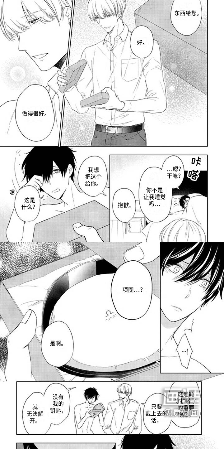 第12章：项圈