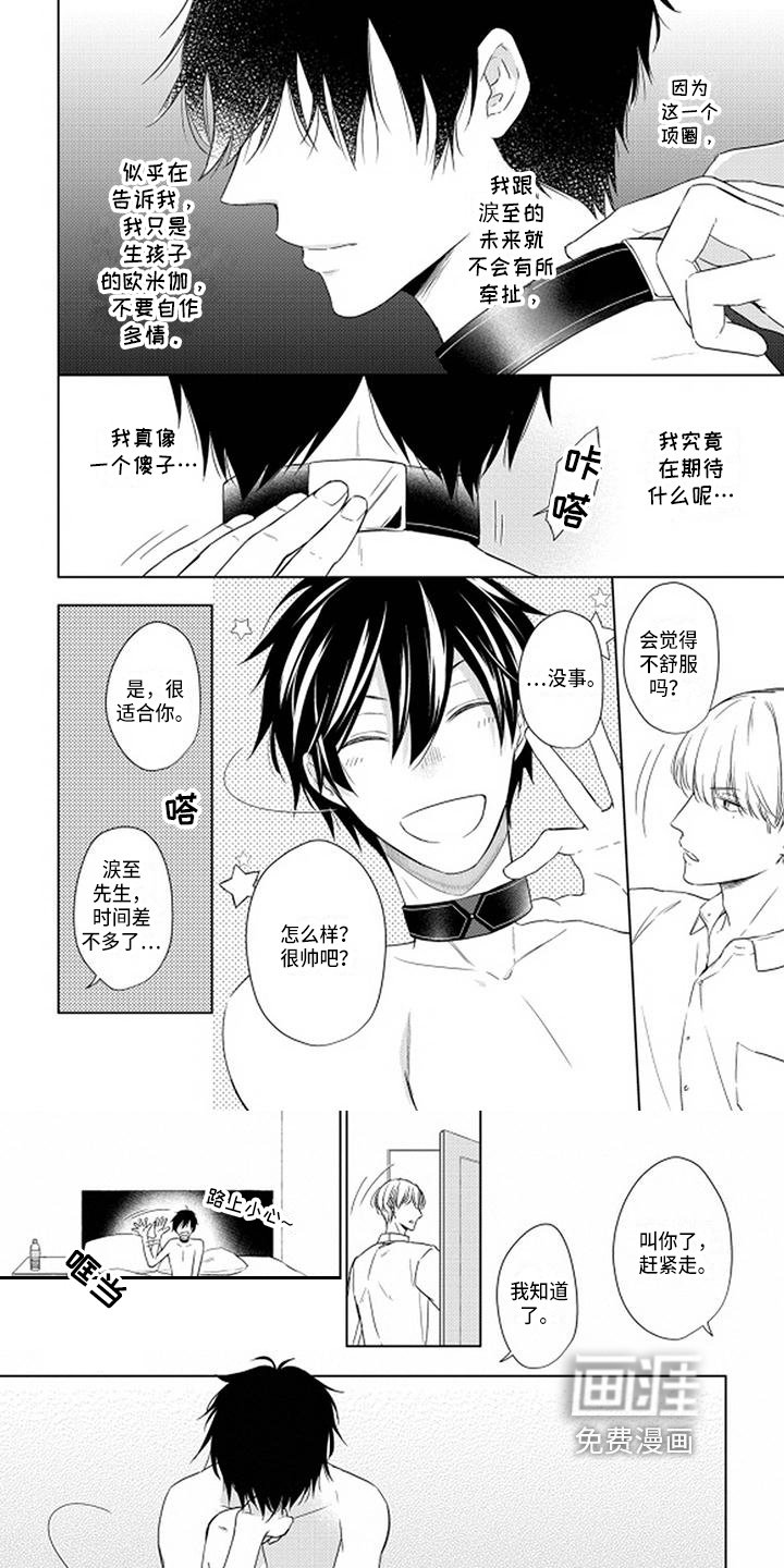 第12章：项圈
