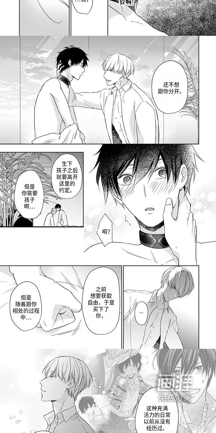 第17章：选择