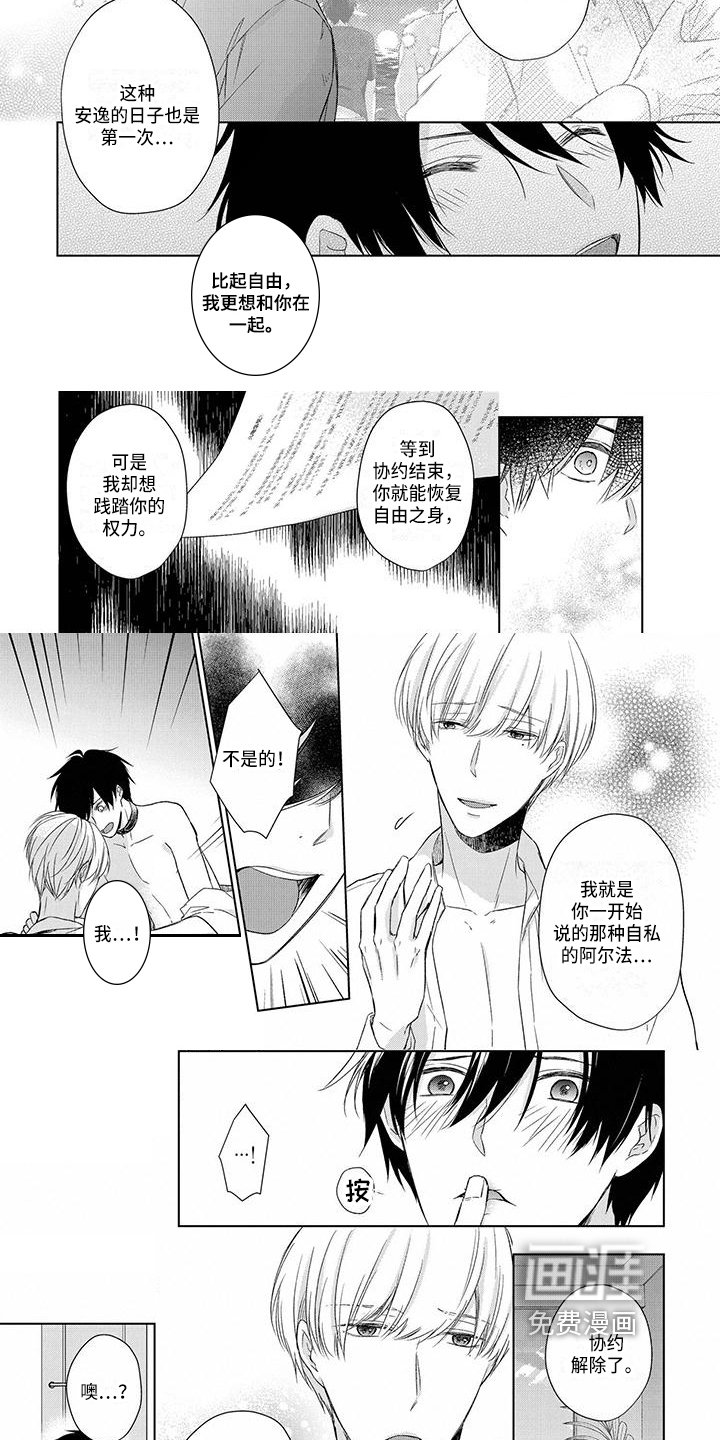第17章：选择