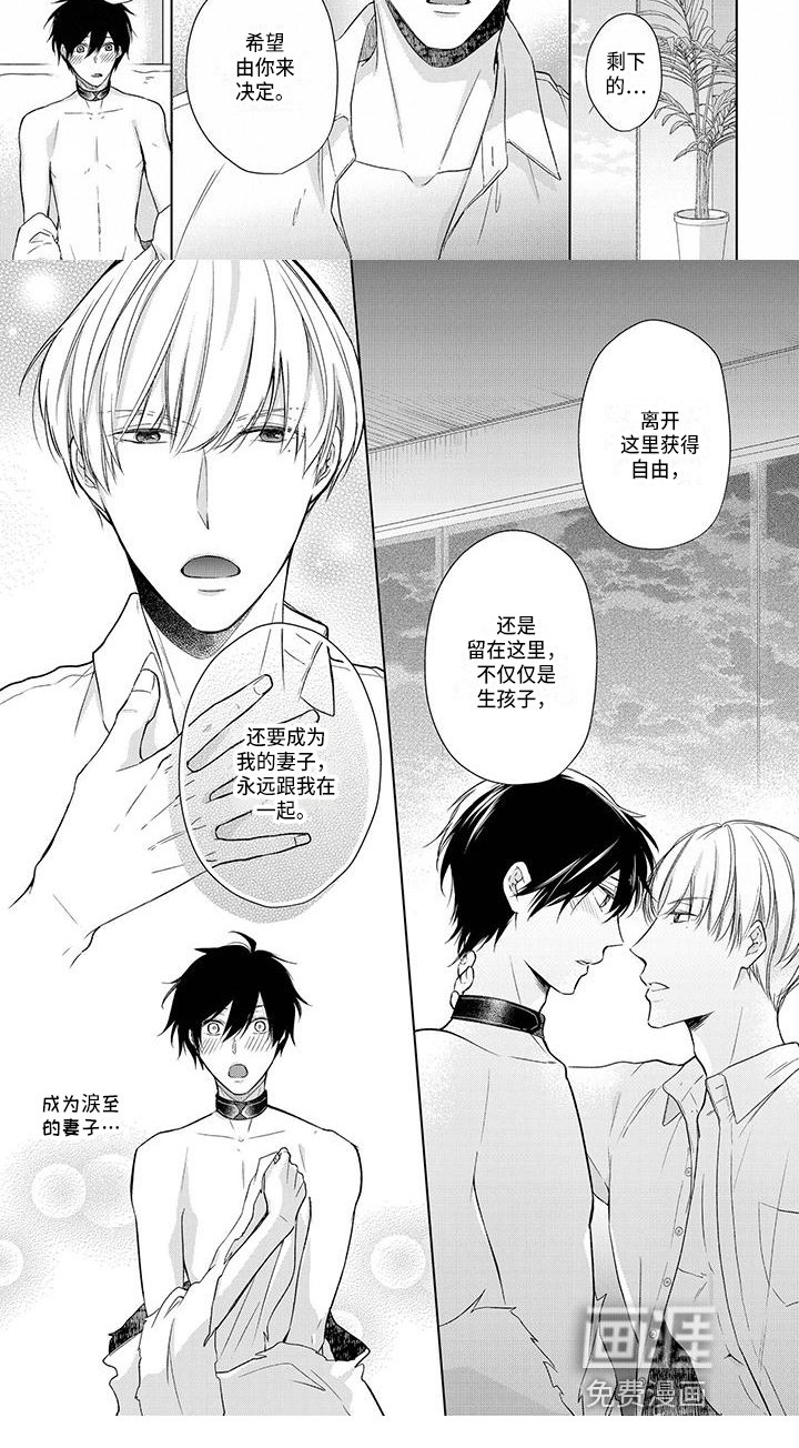 第17章：选择