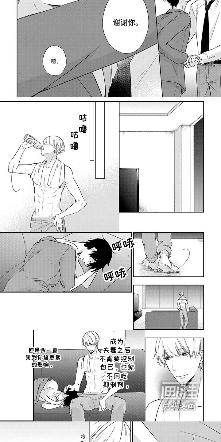 第20章：安排