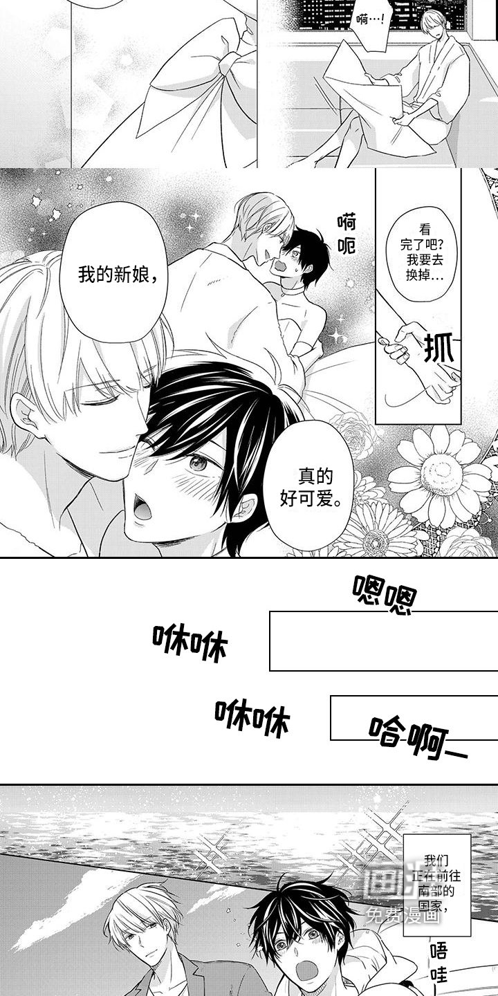 第22章：新婚旅行