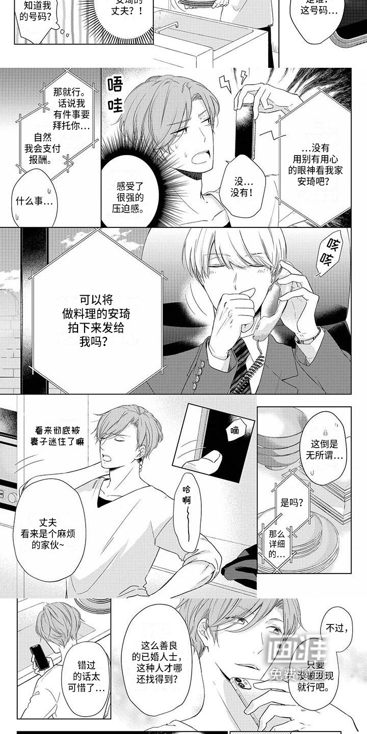 第31章：朋友