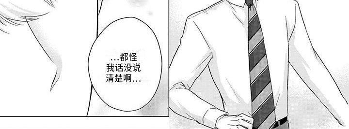 第46章：说明