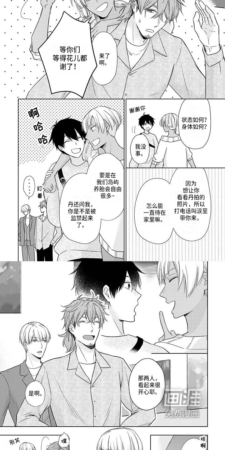 第49章：好主意
