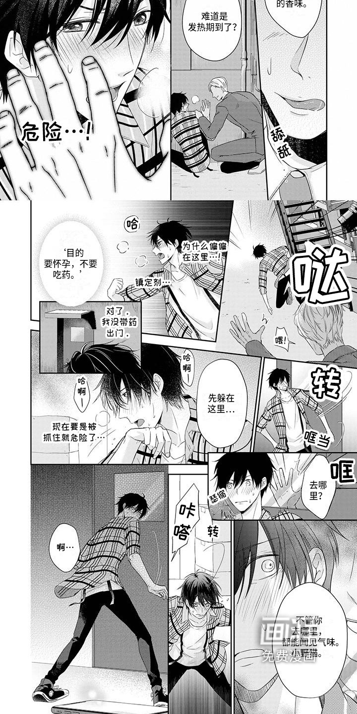 第6章：意外