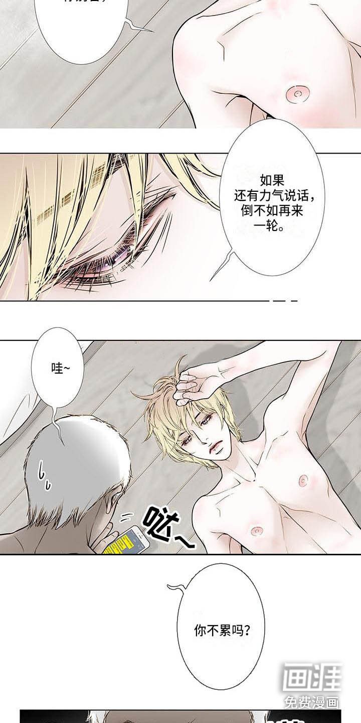 第11章：无情