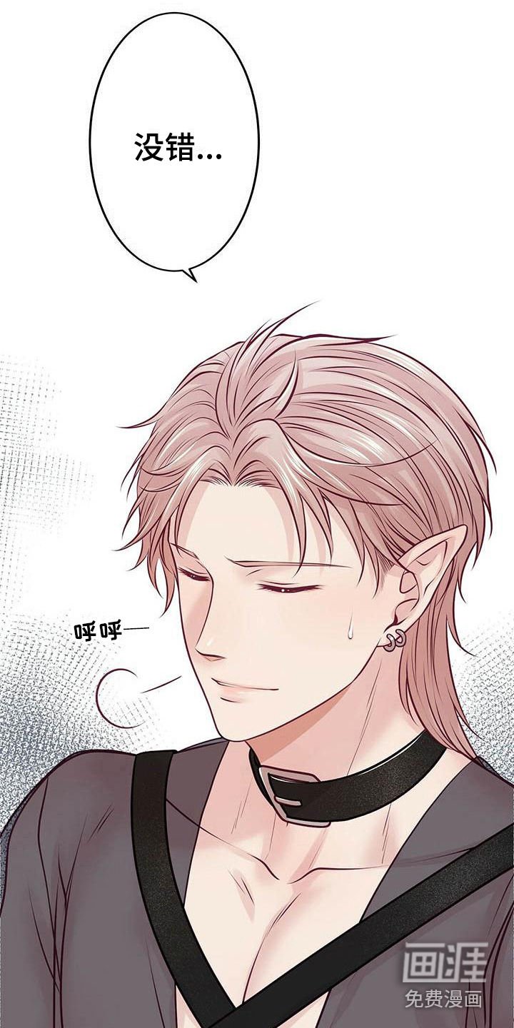 第20章：一见钟情