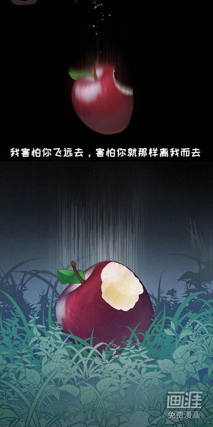 第24章：出道日