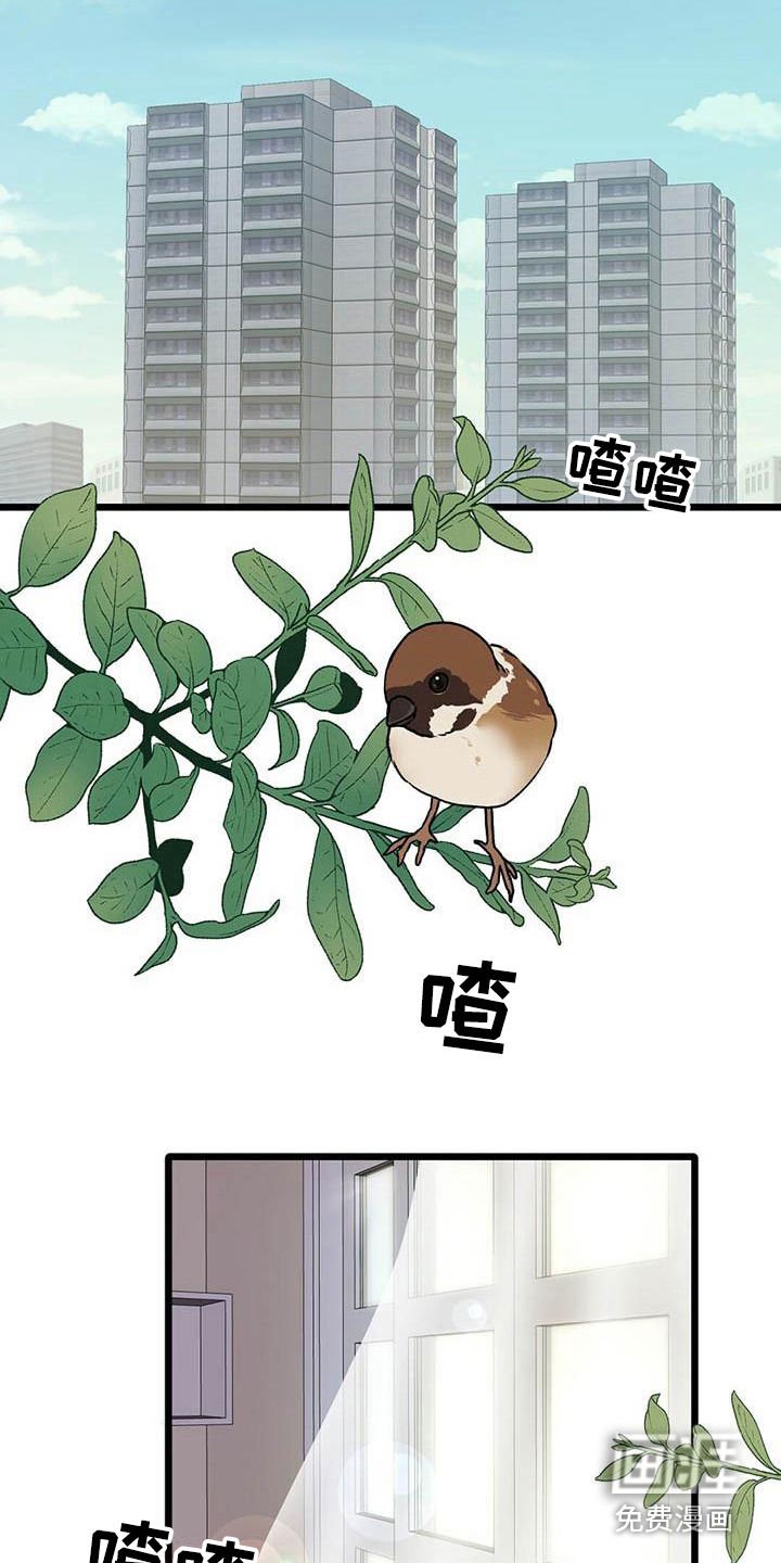 第25章：迎接早晨
