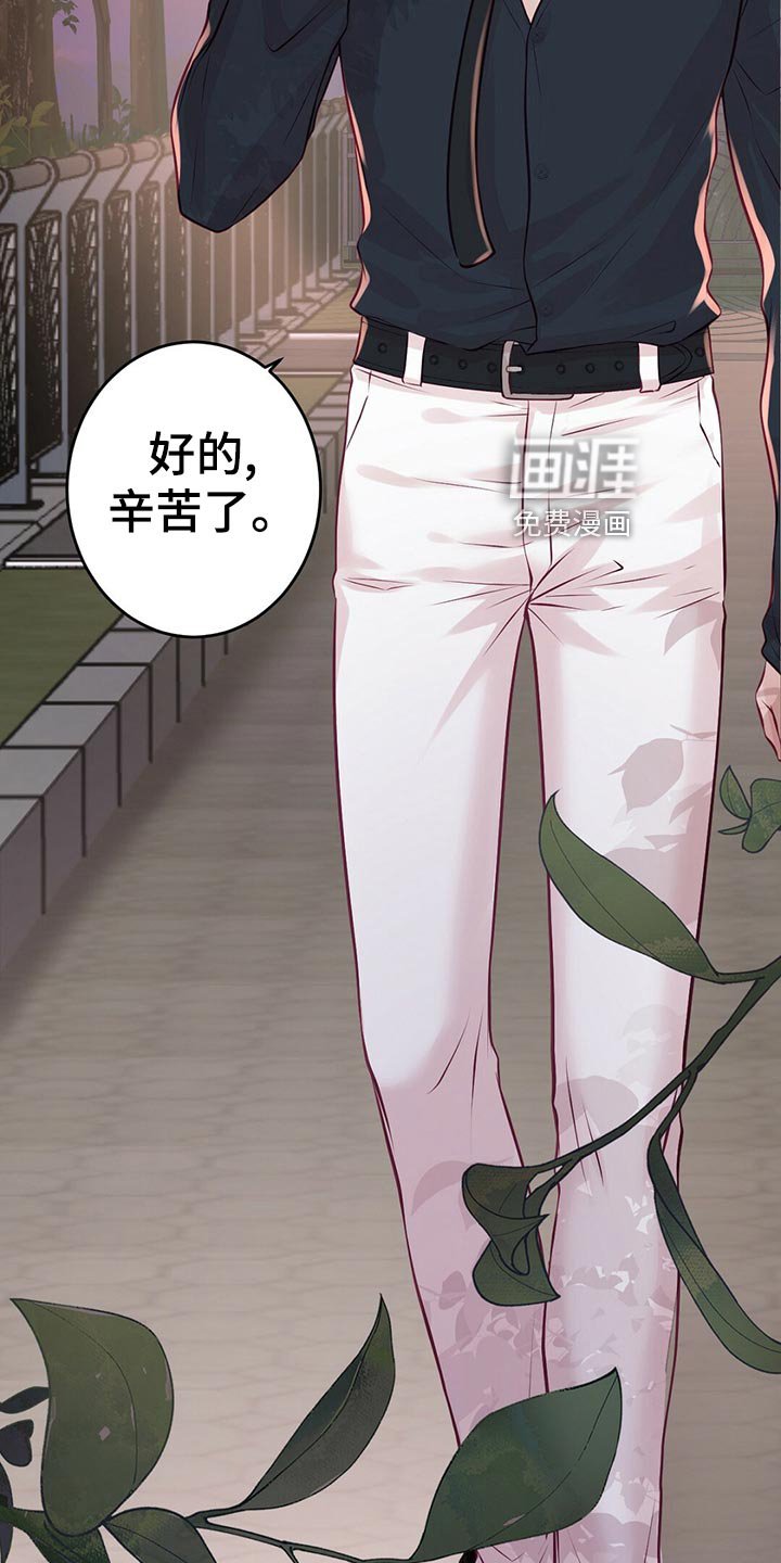 第28章：拍摄结束