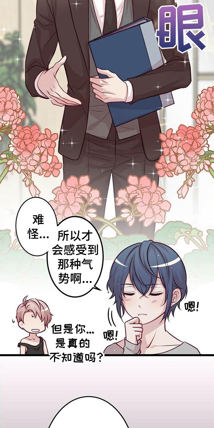 第3章：偶像组合
