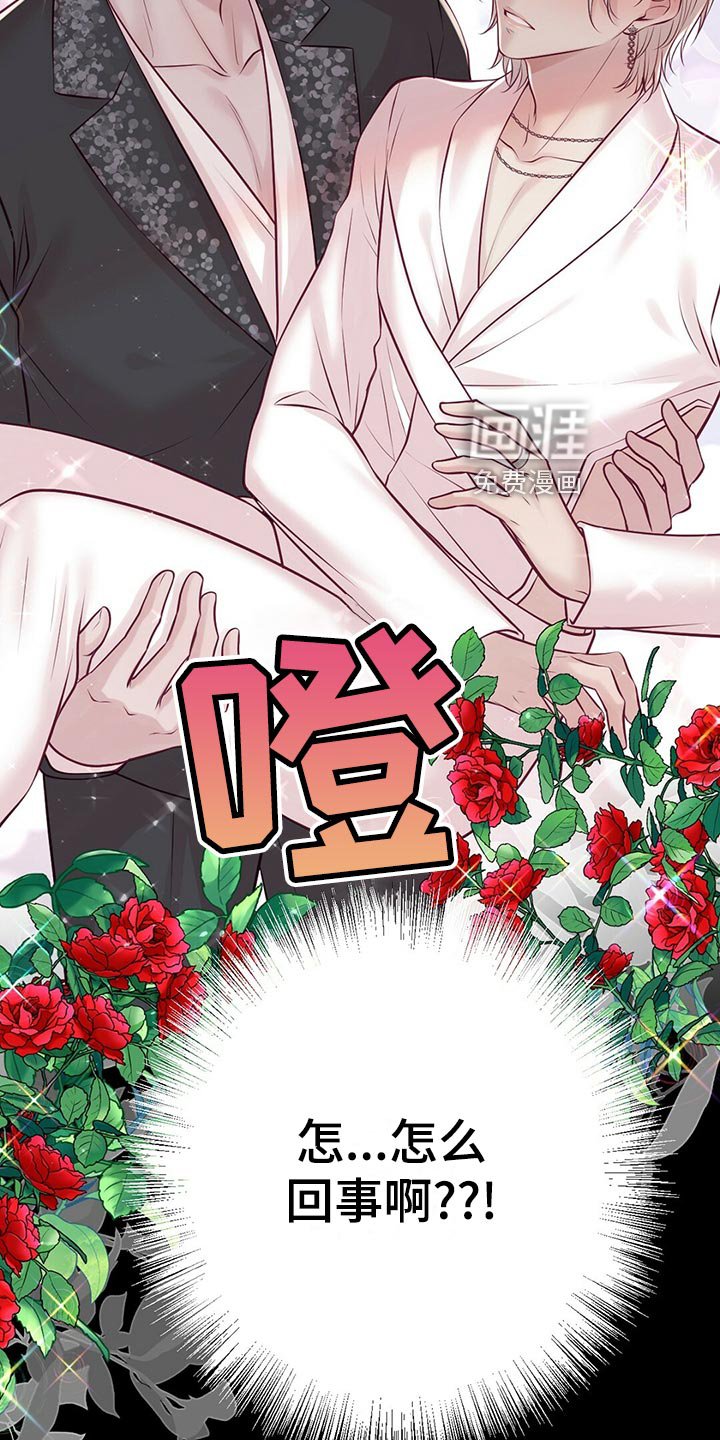 第33章：搭救