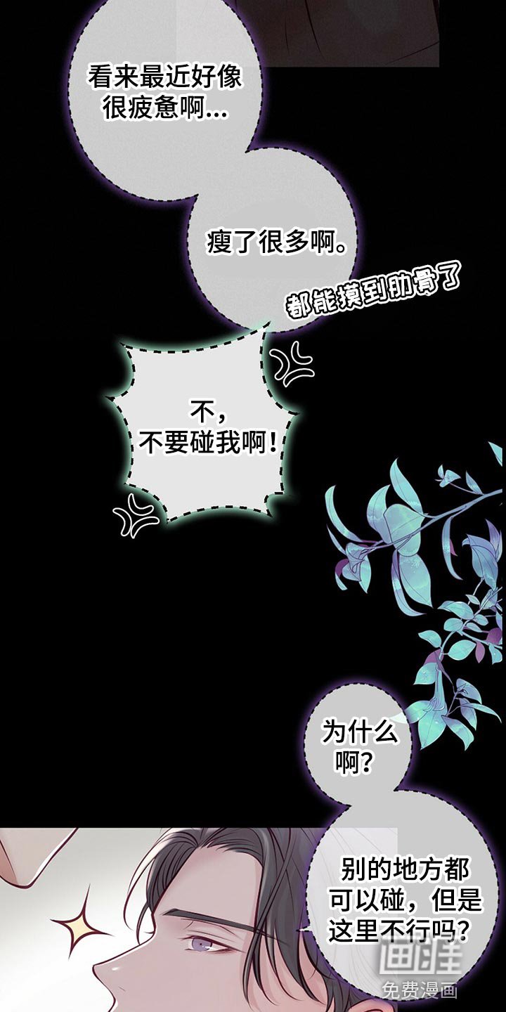 第36章：拍摄
