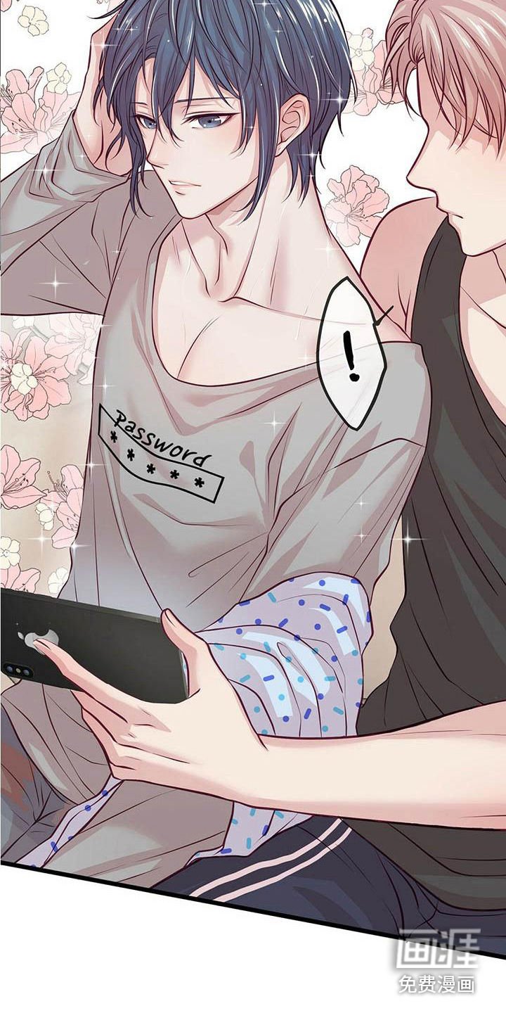 第4章：看视频
