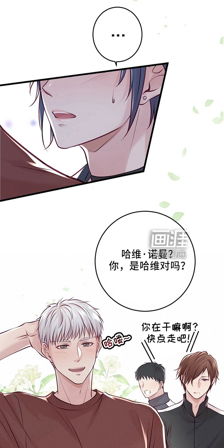 第41章：粉丝