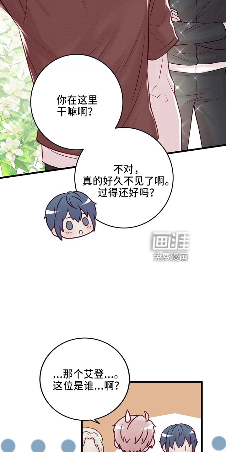 第41章：粉丝