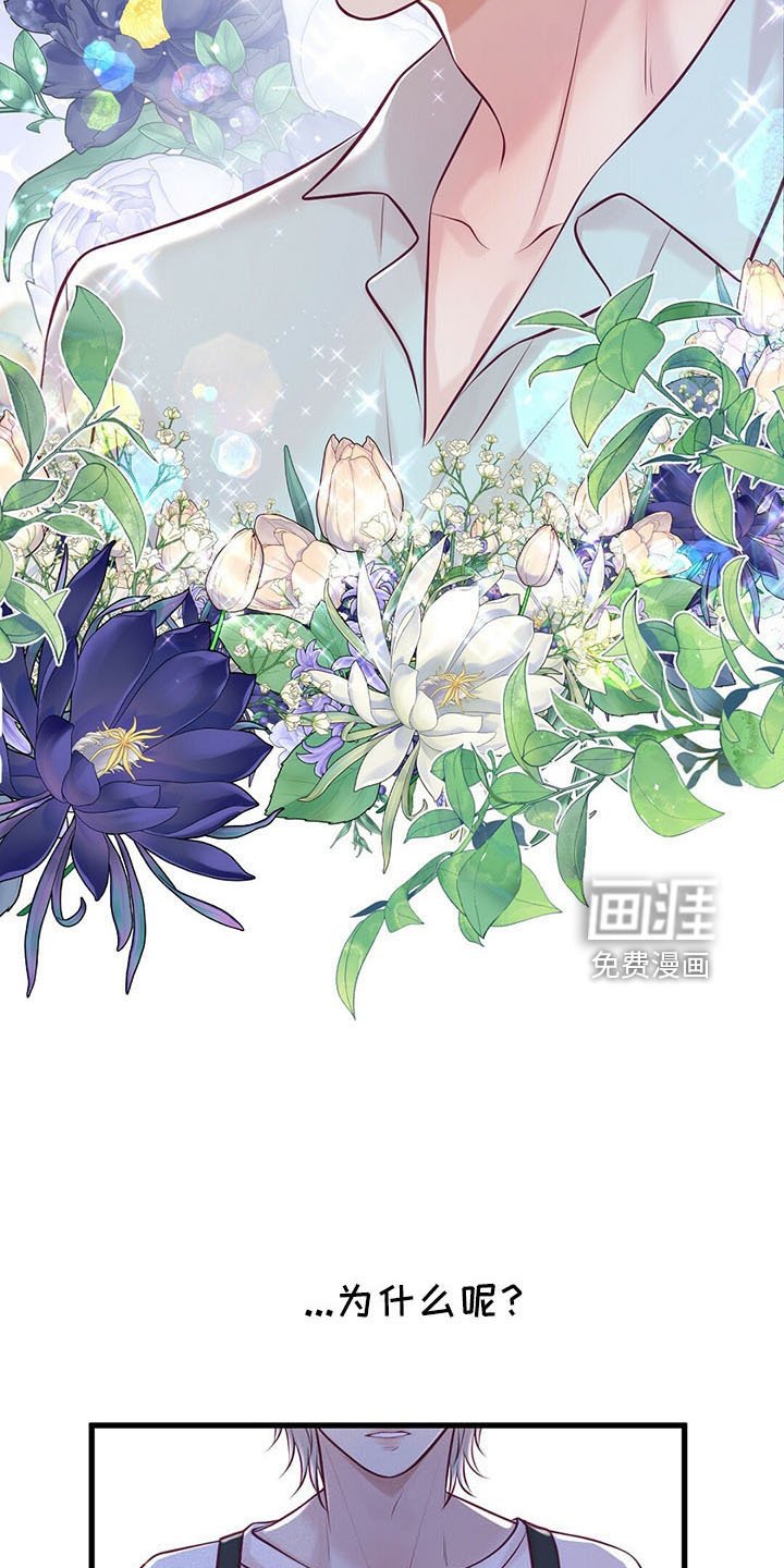 第44章：假面少女