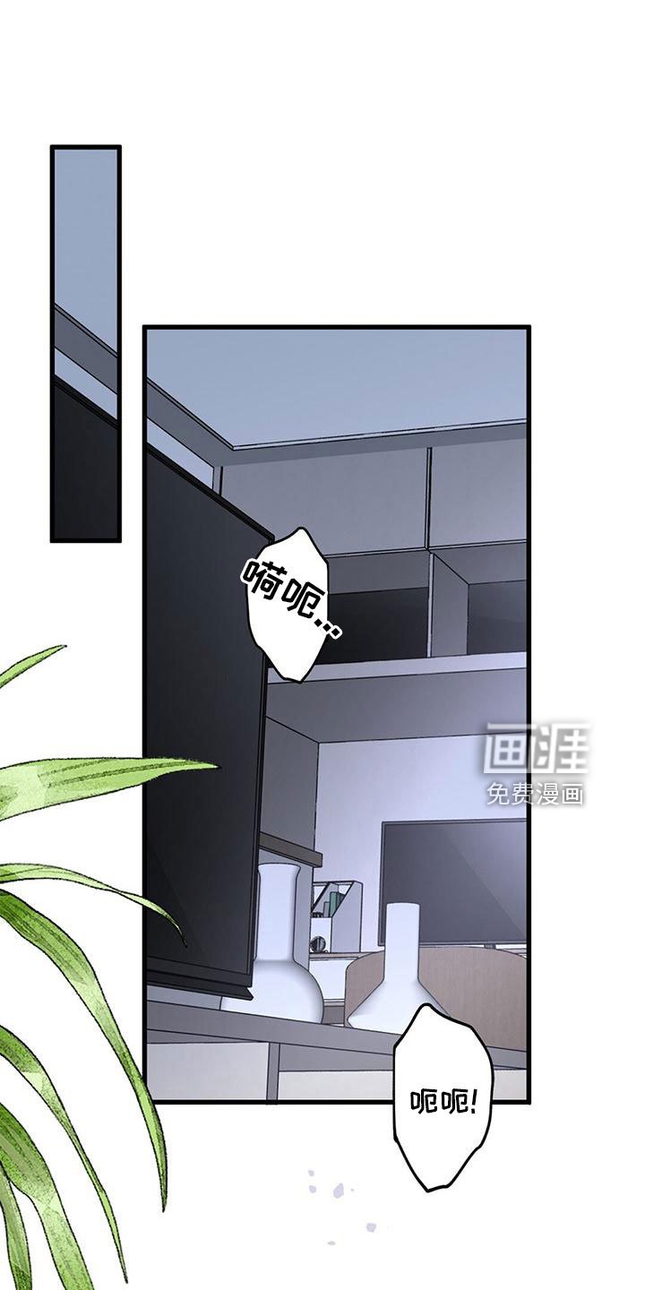 第59章：采访