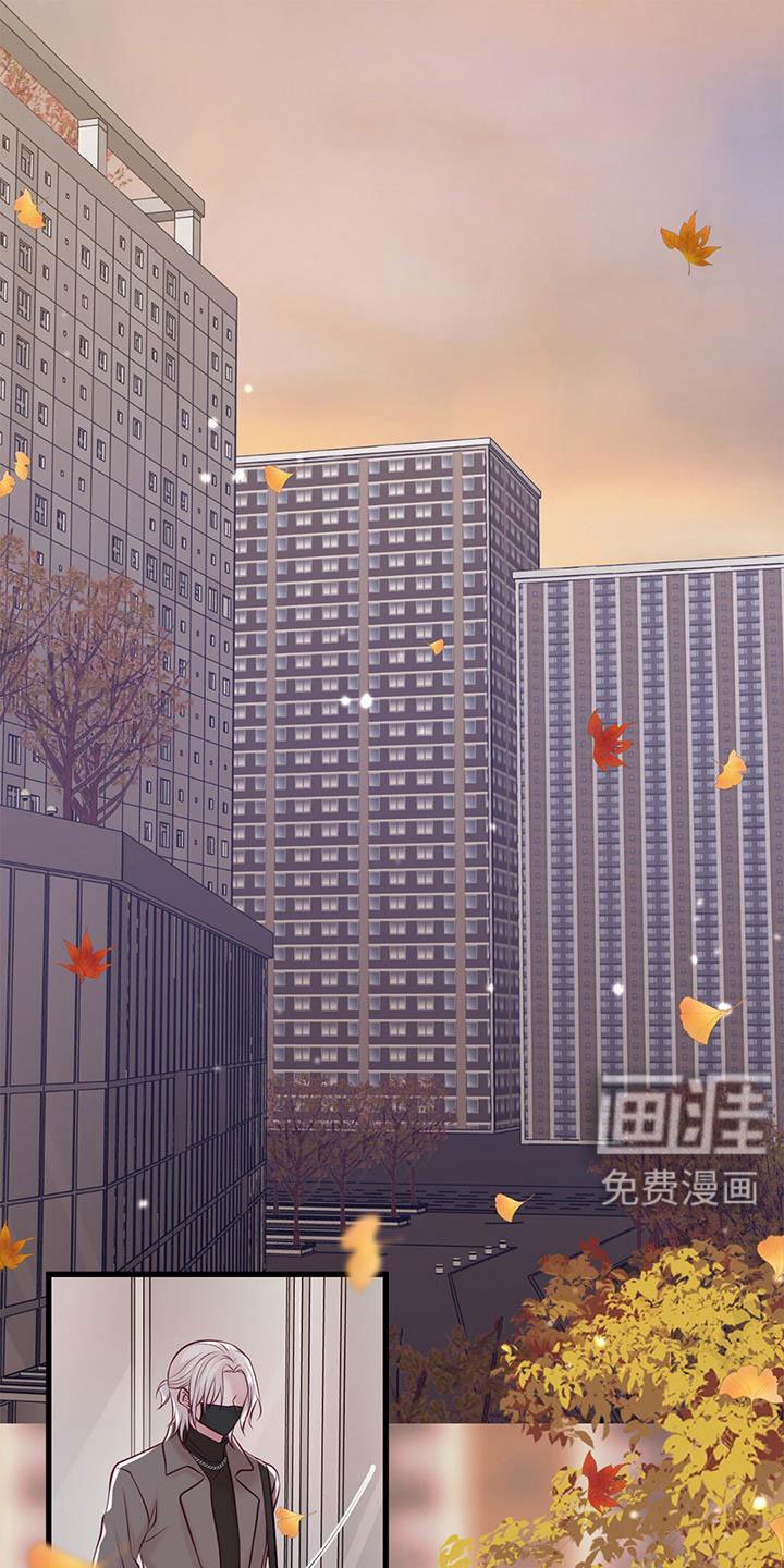 第63章：新婚旅行