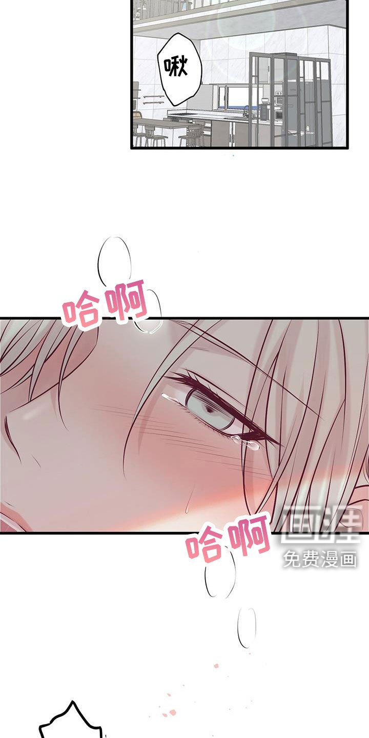 第64章：结婚吧