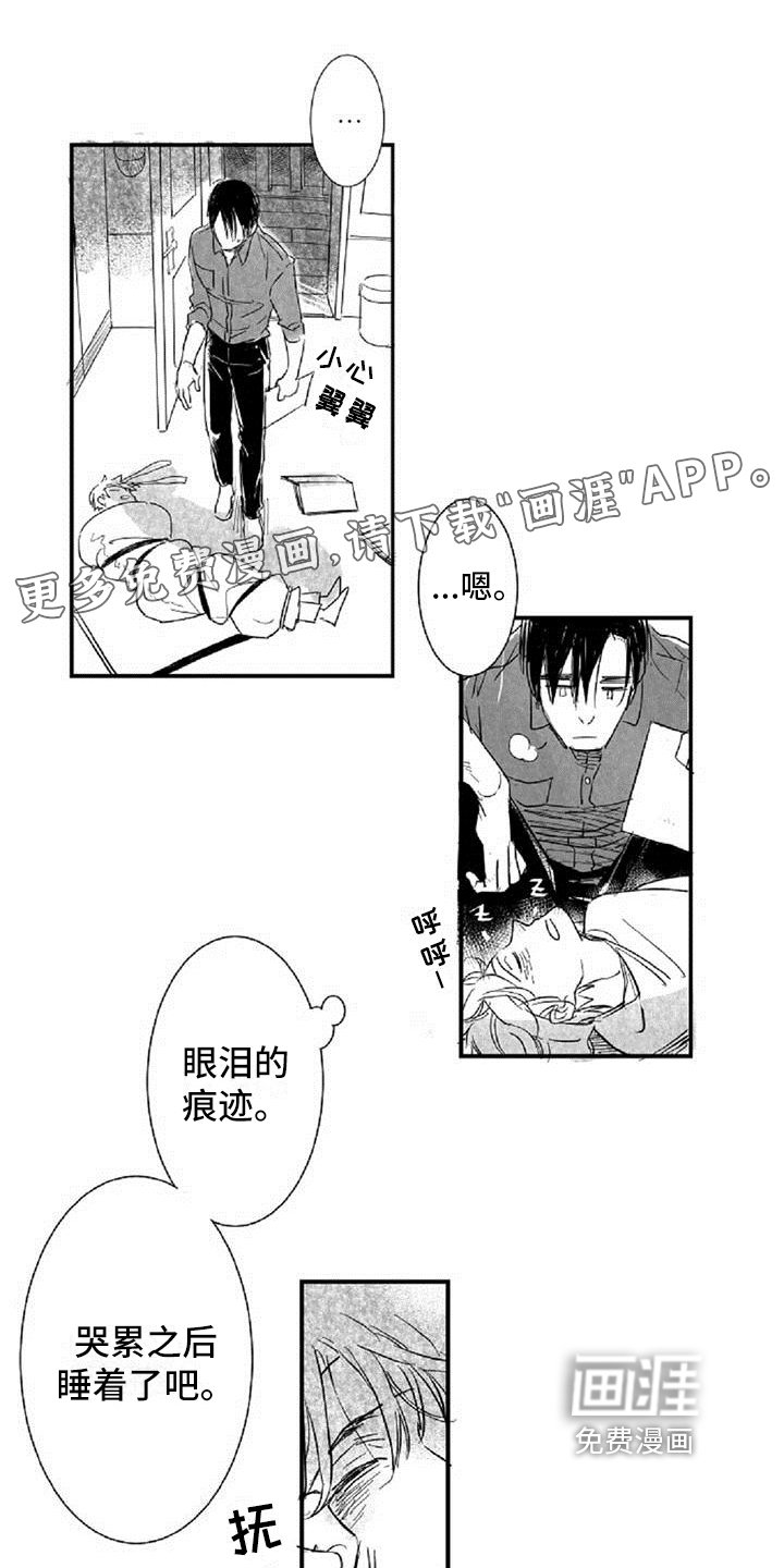 第11章：生日