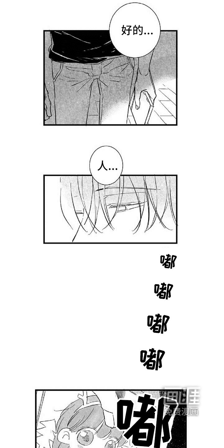 第27章：条件