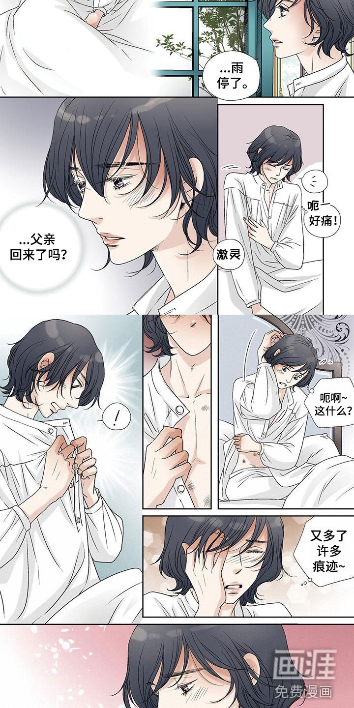 第28章：没有区别