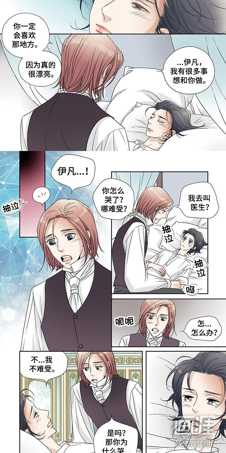 第36章：天使